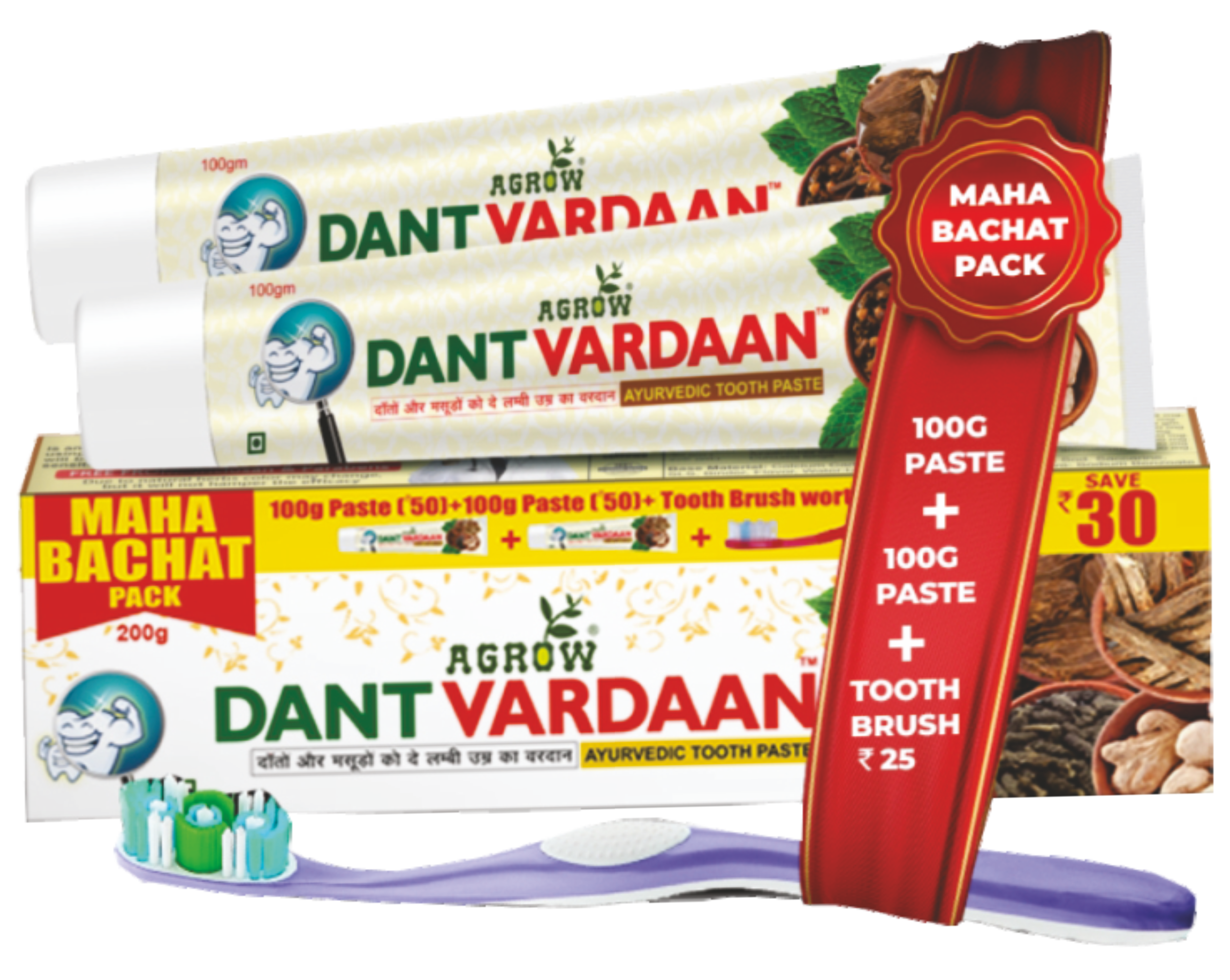 Dant Vardaan Ayurvedic Toothpaste +1 sensitive brush FREE (200gm)
