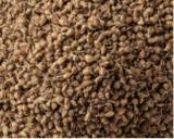 Ajwain
