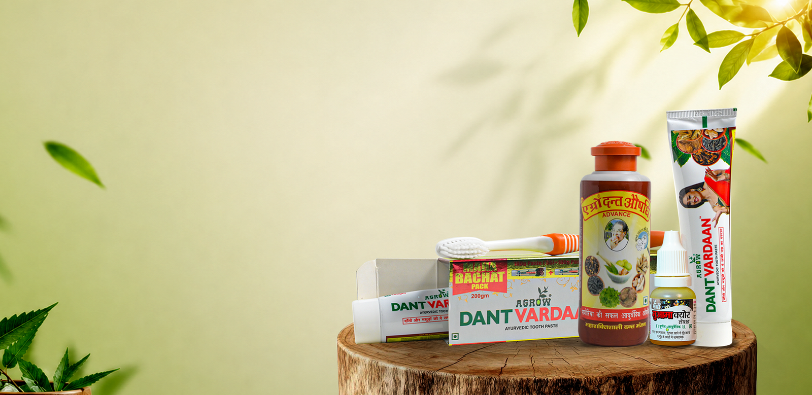Explore Our Oral care Range