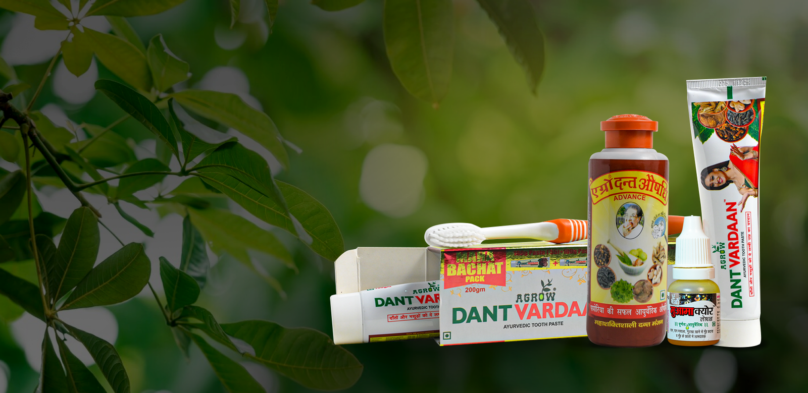 Explore Our Oral care Range