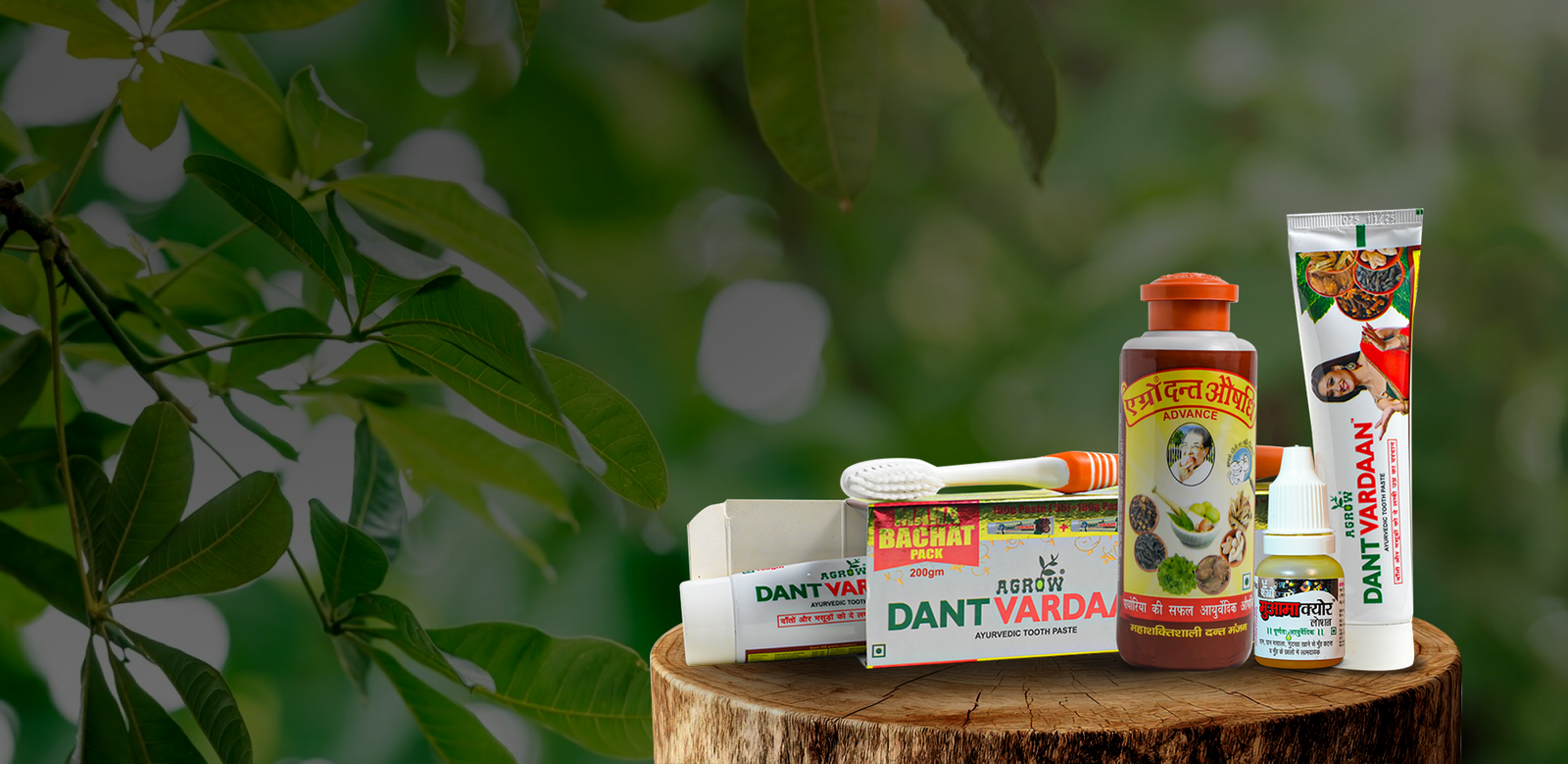 Explore Our Oral care Range