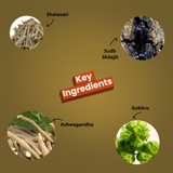 Agrow Ayurveda Himalayan Shilajit Sip Sticks | 12 Sticks 8 grams each