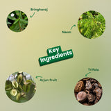 Kes Kalyan Ayurvedic Hair Oil Wih Bringharaj 100 ml