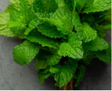Menthol