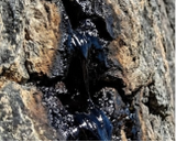 Sudh Shilajit